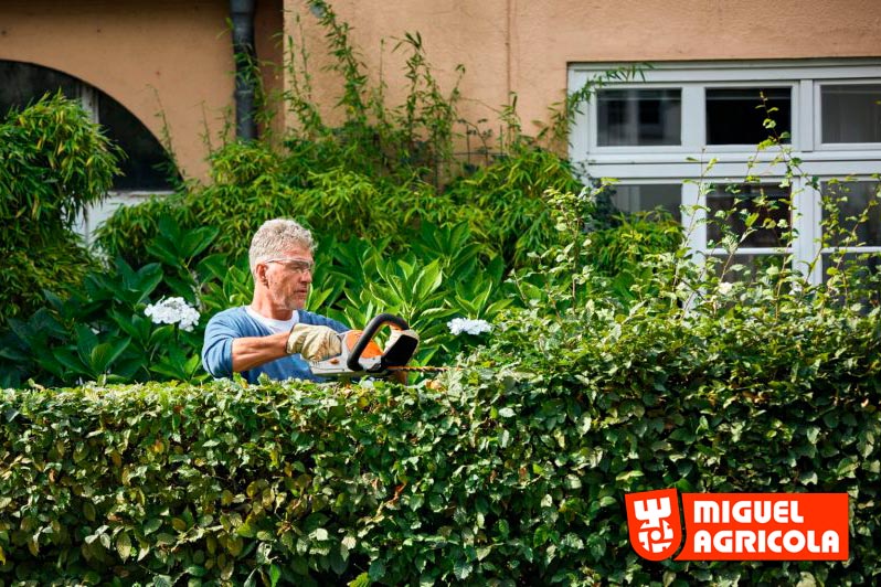 Cortasetos de batería Stihl