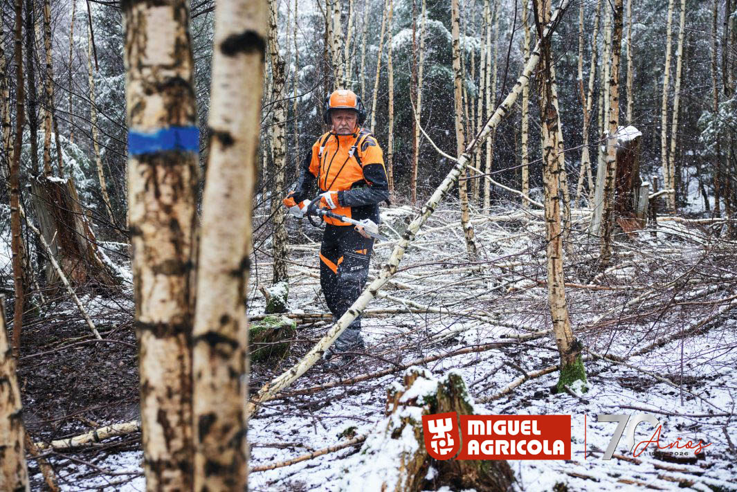 Herramientas de batería Stihl