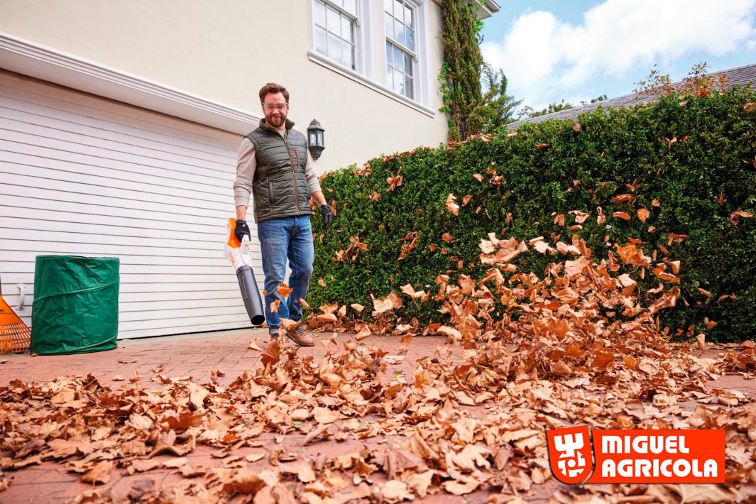 Otoño Batería Stihl